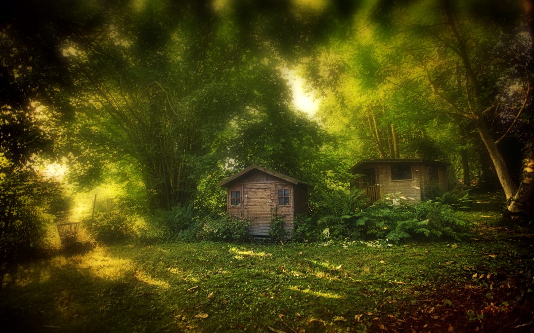 Dans le jardin de mes parents